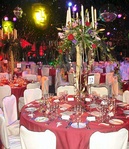 804ed05d9b9f0bda8391d914893775d6